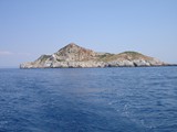 DSC03708
