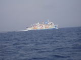 DSC03713