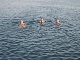 IMG_1654