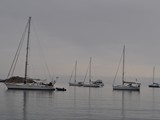 DSC_0183